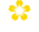 LAPACHOS HOLDING